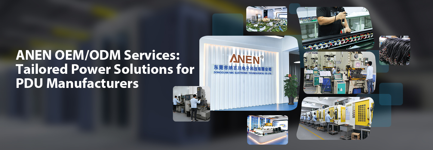 ANEN-OEM-ODM-Services.jpg