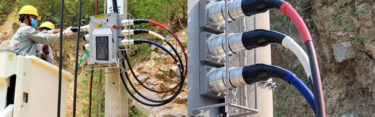 Bypass-load-switch-3.jpg
